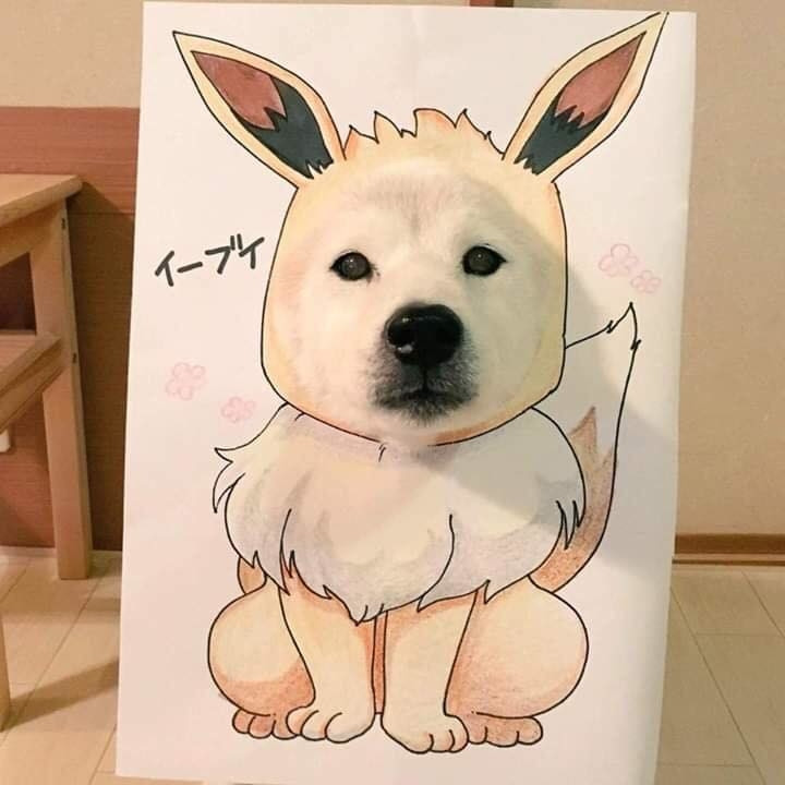 Hiền lành đáng yêu quá nè.