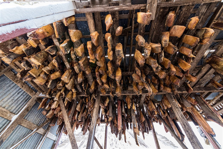 Ảnh: Shutterstock.