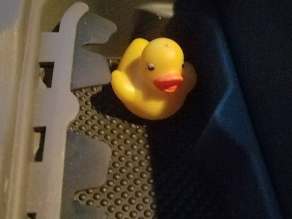 Chú vịt cao su mà Connor mới tìm thấy, không biết được bố cậu ấy để đó từ khi nào.