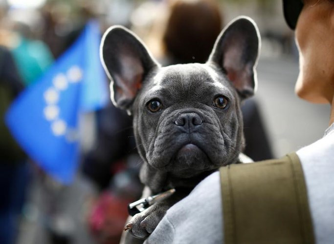 Trước đó, Đại hội các Công đoàn Lao động Anh (TUC) hồi tháng 9 đã quyết định cho phép bỏ phiếu trưng cầu về Brexit.