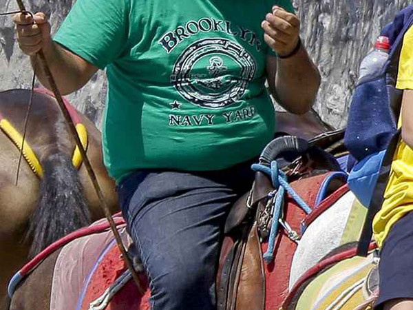 Khách béo phì trên 100kg sẽ không được cưỡi trên lưng lừa khi tới Santorini.