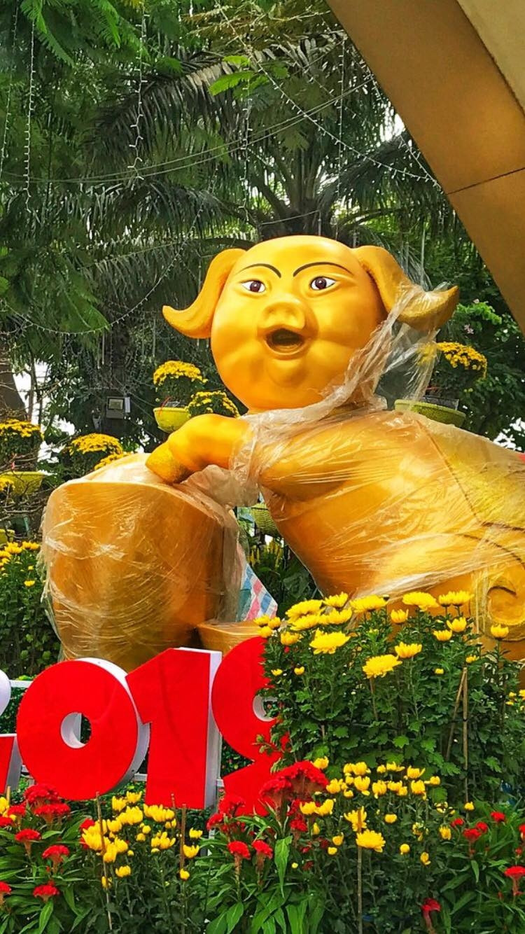 "Ngạc nhiên chưa??"