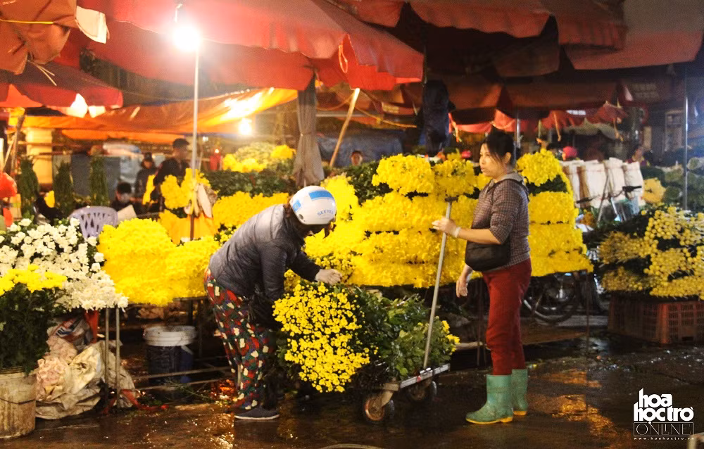 Theo cô Thủy (Long biên, Hà Nội) chủ 1 cửa hàng hoa tại chợ cho biết: “Vào ngày Rằm thì hoa cúc là loại hoa được bày bán nhiều nhất và được ưa chuộng nhất”.