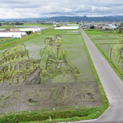 Ngày 15/6/2018. Ngày 15/6/2018.