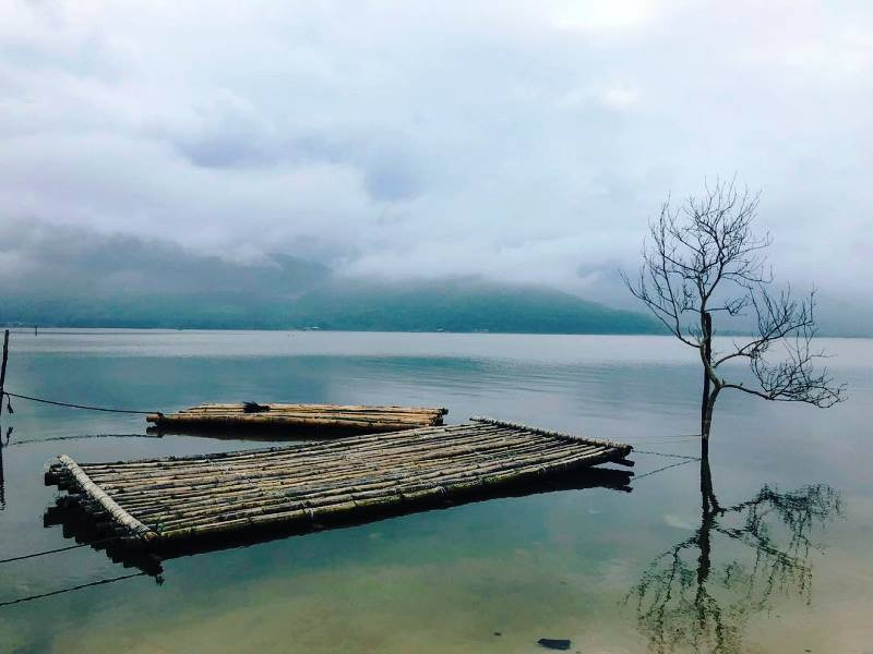 Cây cô đơn trên đầm Lập An. (Ảnh: den_punja, linniha, ohsosandy)