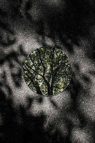 Vẻ đẹp trầm lắng của tự nhiên qua tấm gương tròn.