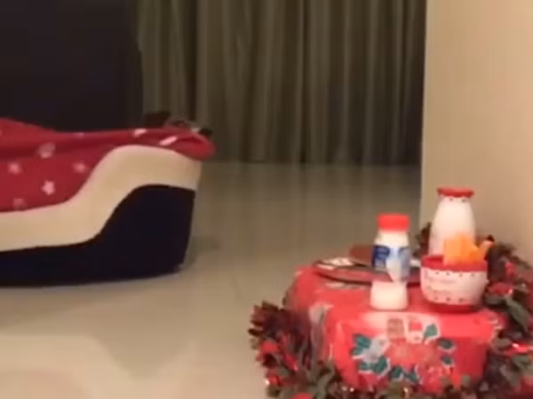 Phải chăm chút chuẩn bị bánh, sữa và cả tất nữa mới đủ bộ. Rồi mới an tâm nằm ngủ để đợi sáng mai dậy nhận quà chứ.