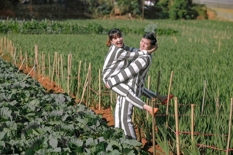 Album ảnh lấy bối cảnh chính là vườn rau bắp cải.