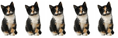 Trắc nghiệm Kokology: Truy tìm hình mẫu soái ca lý tưởng của bạn! ảnh 1