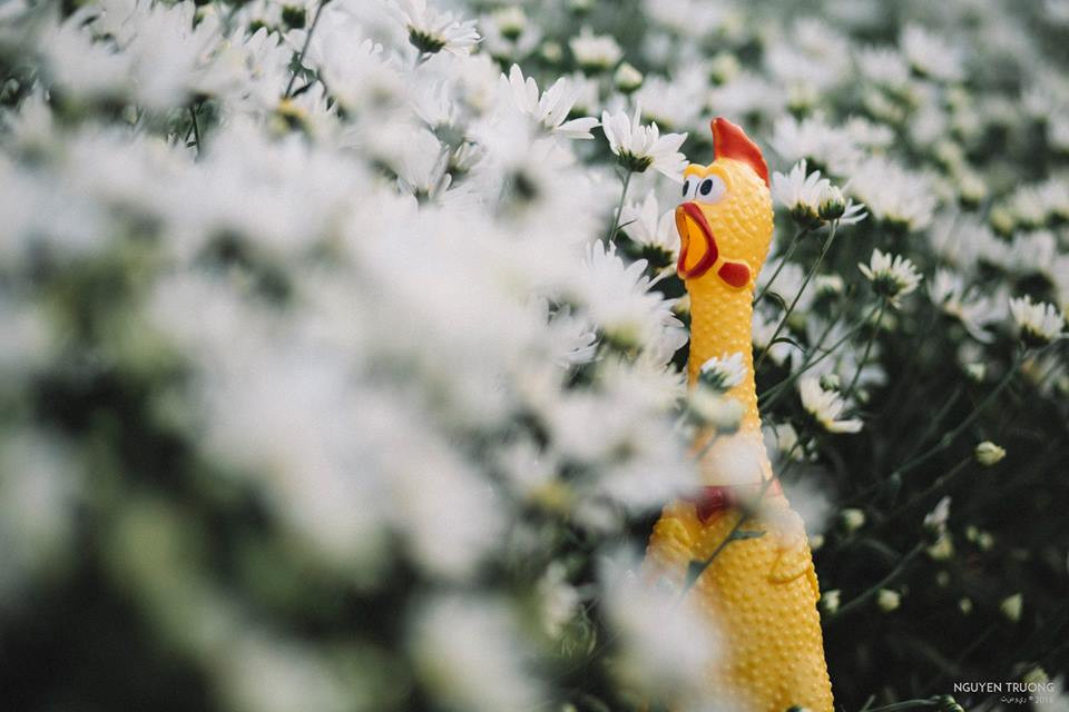 &quot;Anh đang ở đâu đấy anh?&quot;.