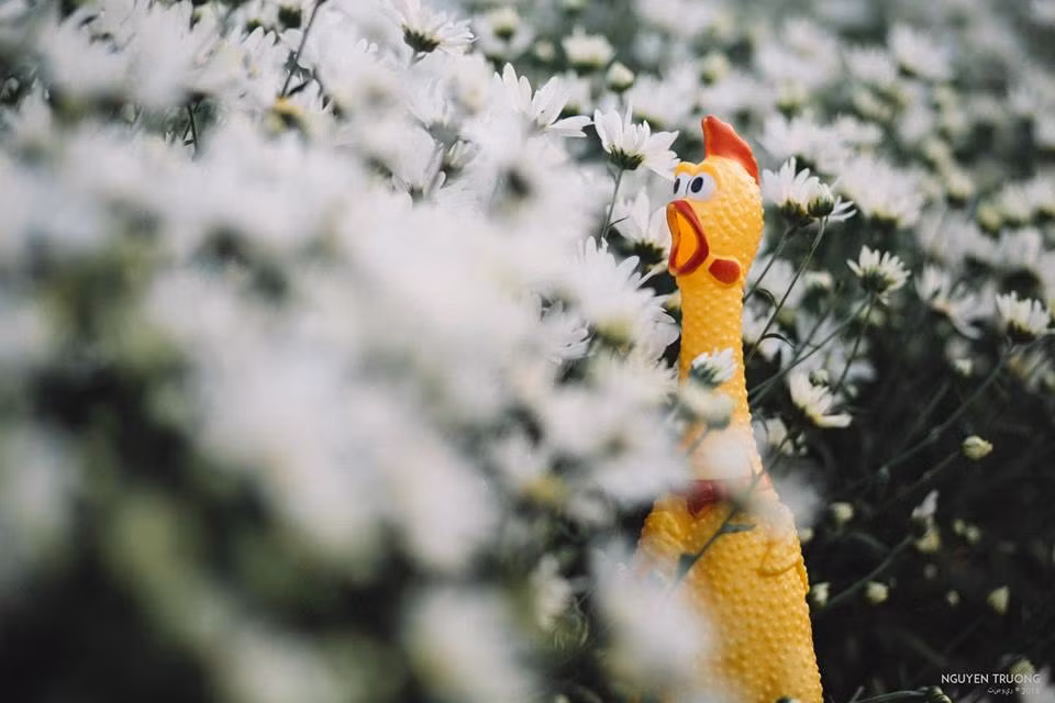 "Anh đang ở đâu đấy anh?".