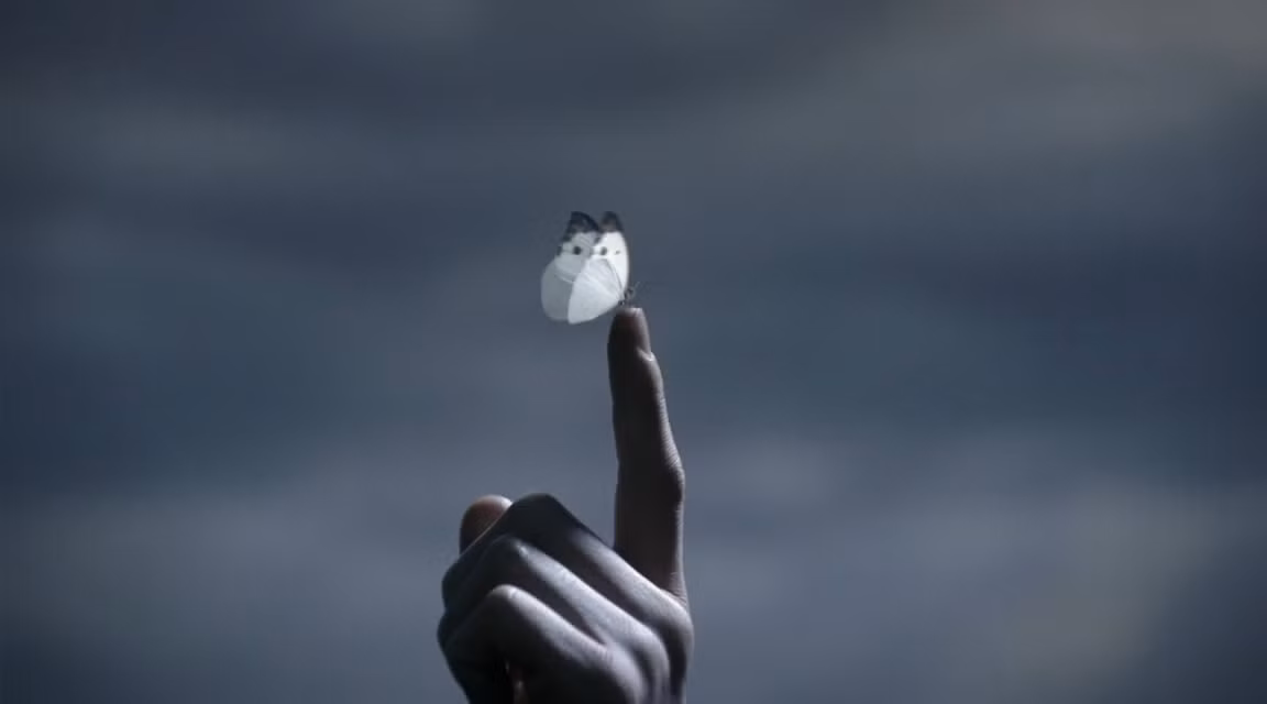 Một cảnh trong bộ phim điện ảnh 