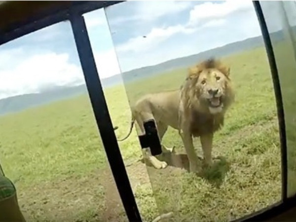 May mà sau khi vật lộn thì người ta cũng kịp đóng cửa sổ lại.