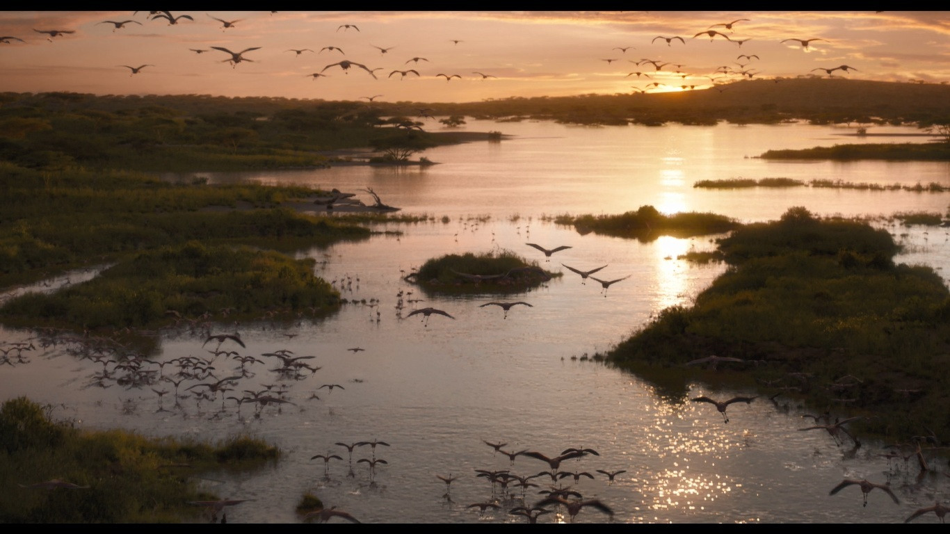  Khung cảnh thiên nhiên hoang dã Châu Phi đẹp đến choáng ngợp trong trailer