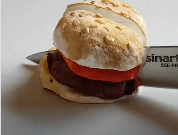 Chiếc hamburger này cũng vậy sao?