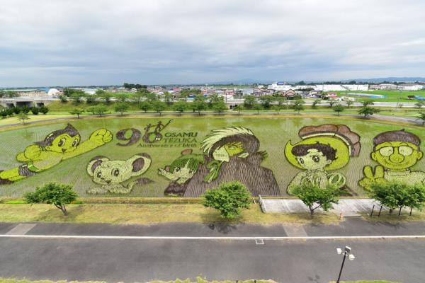 Sau một thời gian bức tranh dần dần hiện ra. Sau một thời gian bức tranh dần dần hiện ra.