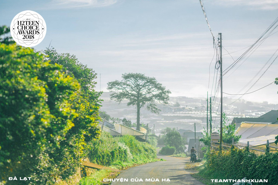 Đà Lạt trong trẻo, ngọt ngào ngỡ chỉ có trong phim.