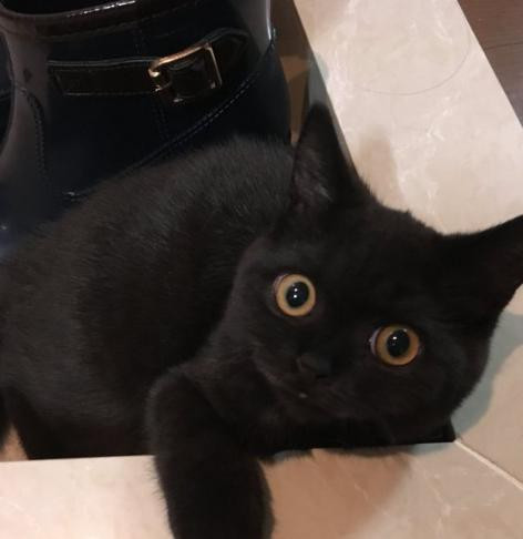 Mỗi cái liếc nhìn đều khiến người khác tan chảy