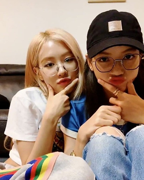 Rosé chọn mẫu kính ngố giá 9,7 triệu đồng của Gucci, trong khi đó Lisa lại diện item ngốn đến 1.500 USD (gần 35 triệu đồng) của Chrome Hearts.