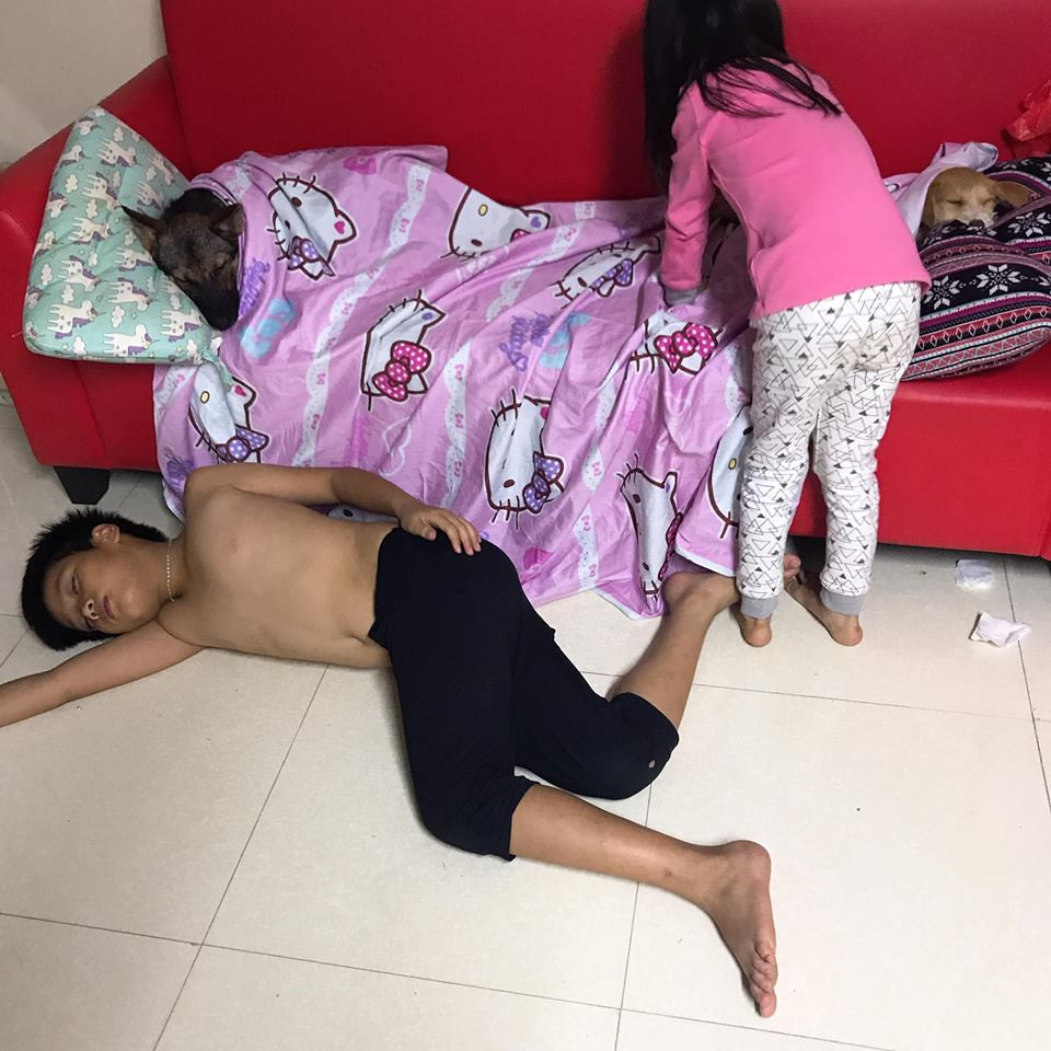 Bé gái không chỉ nhường chỗ ấm mà còn chu đáo đắp chăn cho các em cún nhà mình.