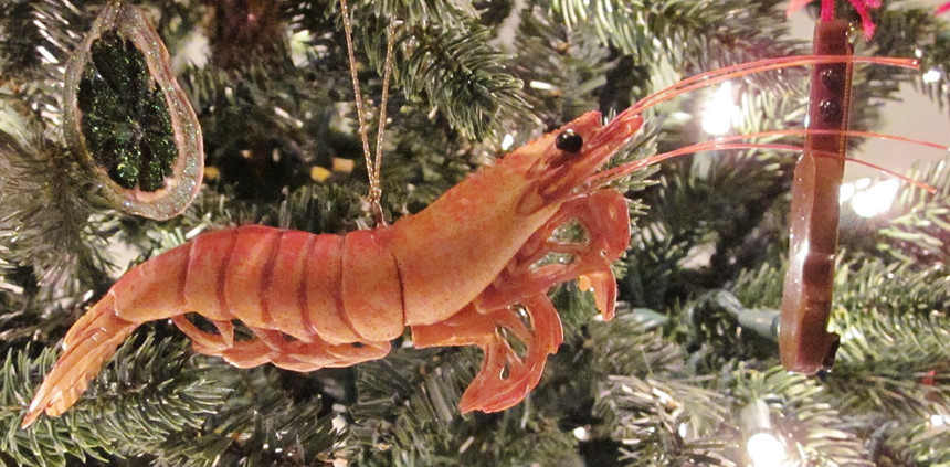 Ảnh: Bonnie Projects.