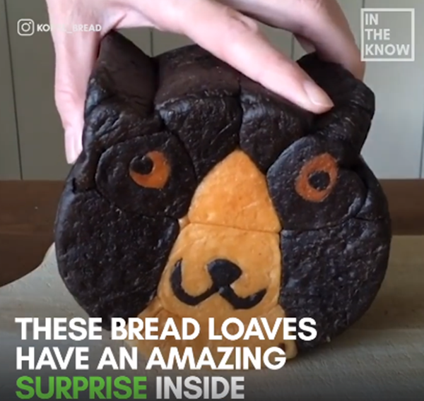 Nhìn vẻ ngoài có vẻ xù xì dữ tợn...