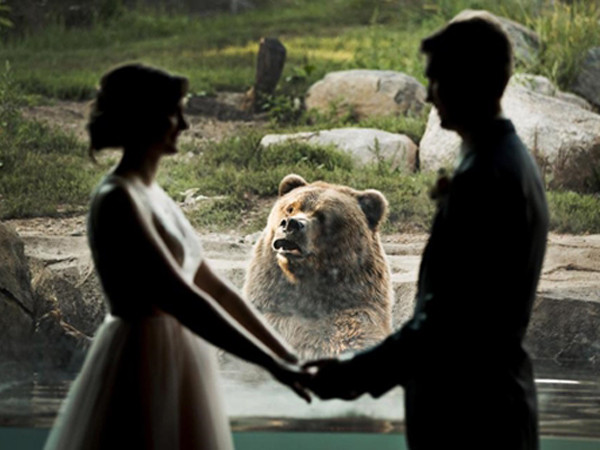 Ánh mắt của chú gấu Kenai hướng về phía cô dâu, có vẻ như nó rất ngạc nhiên.