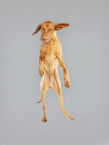 "Có vẻ như không thú vị lắm".