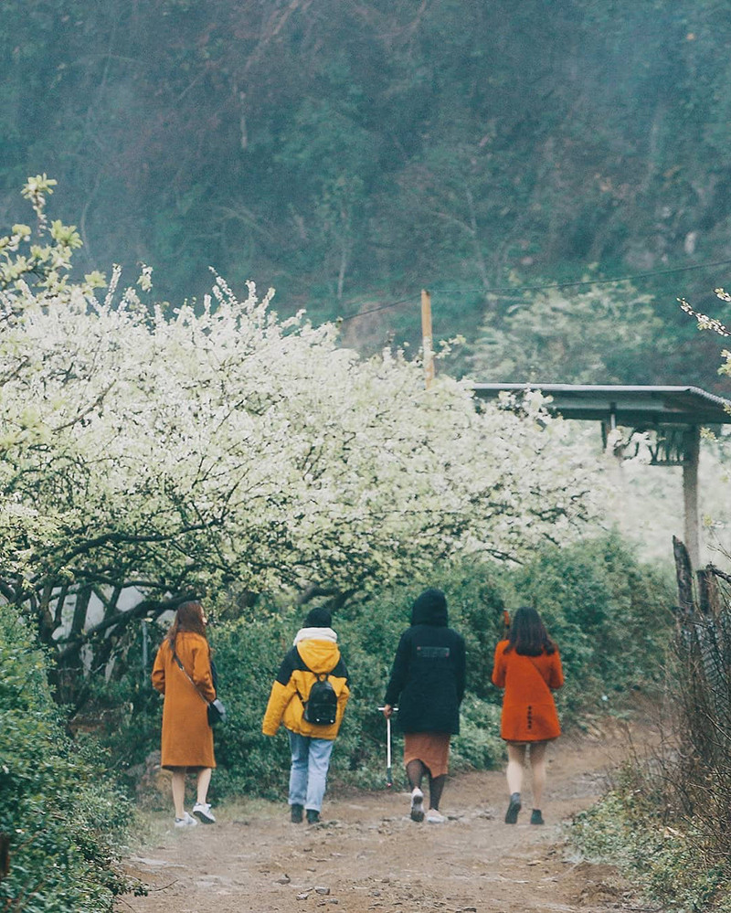 Hãy xách ba lô lên cùng hội bạn thân đến Mộc Châu thôi nào... (Ảnh: IG @soaipham) Hãy xách ba lô lên cùng hội bạn thân đến Mộc Châu thôi nào... (Ảnh: IG @soaipham)