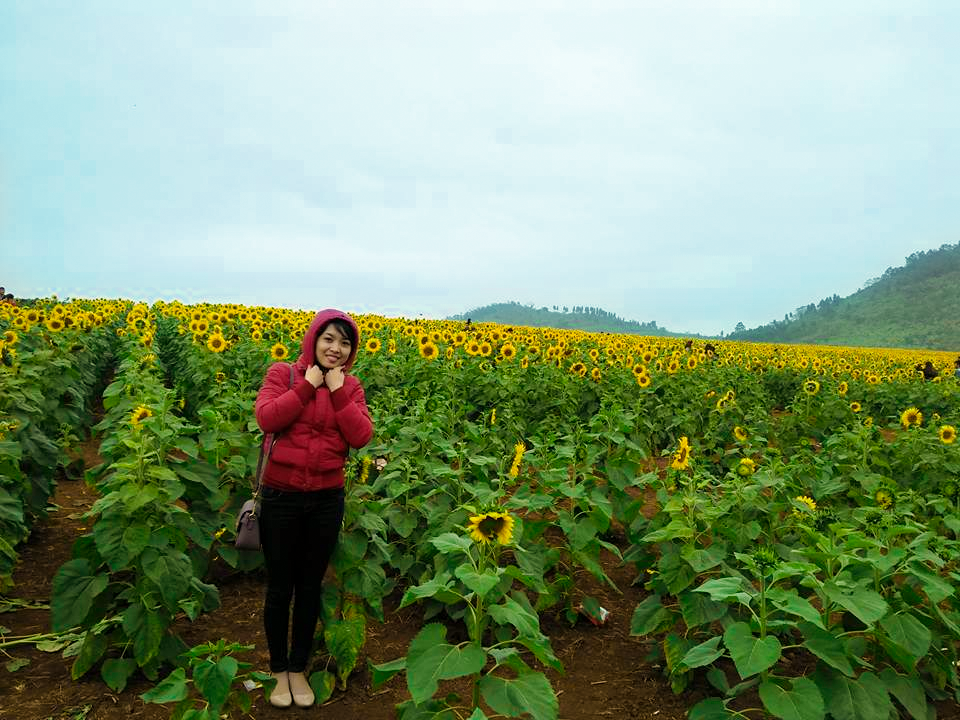 Tha hồ “ xả stress” khi đến đồi hoa vào dịp cuối tuần.