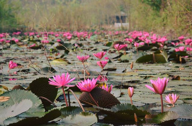 Ảnh: Dai Thuong Hai