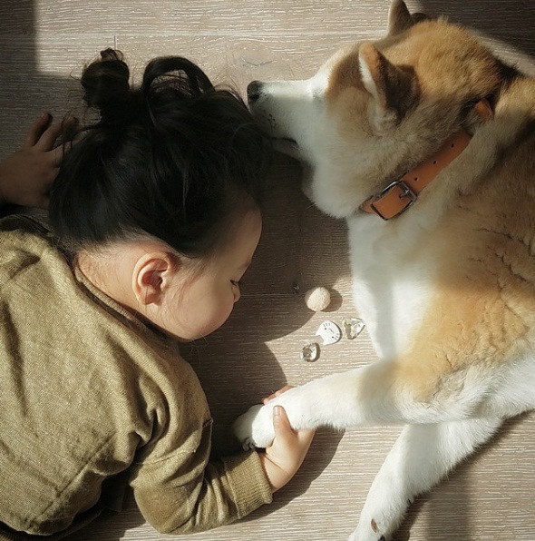 Ảnh minh họa: Philo và Pompon.