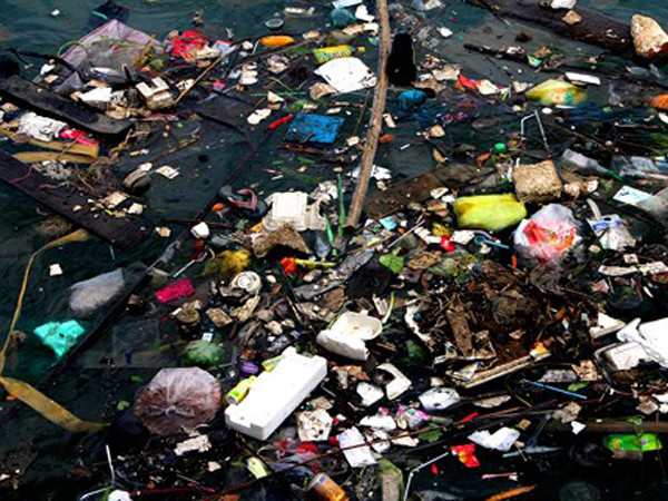 TP.HCM quyết tâm thực hiện phân loại rác tại nguồn sau nhiều năm dang dở.