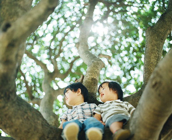 Ảnh minh họa: Haru & Mina (Hideaki Hamada).