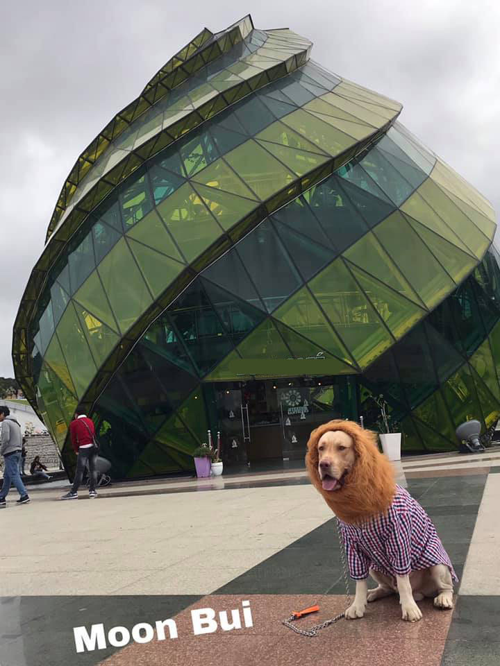 Nhận được quá trời sự chú ý của dân tình xung quanh.