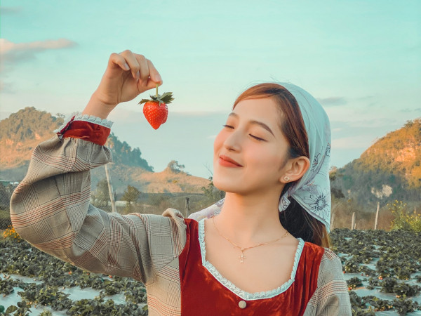 Trang trại dâu tây Chimi Farm