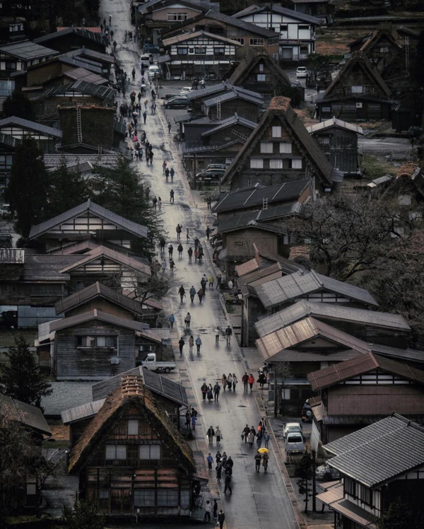 (Ảnh: IG/trotajoches, nozawaonsenjapan, trubus_al) (Ảnh: IG/trotajoches, nozawaonsenjapan, trubus_al)