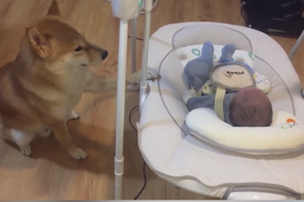 Mệt quá tôi sẽ ru bé ngủ.