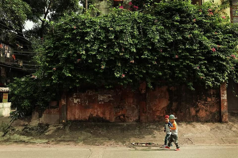 Tom và người bạn cùng phòng điều trị - Tít.