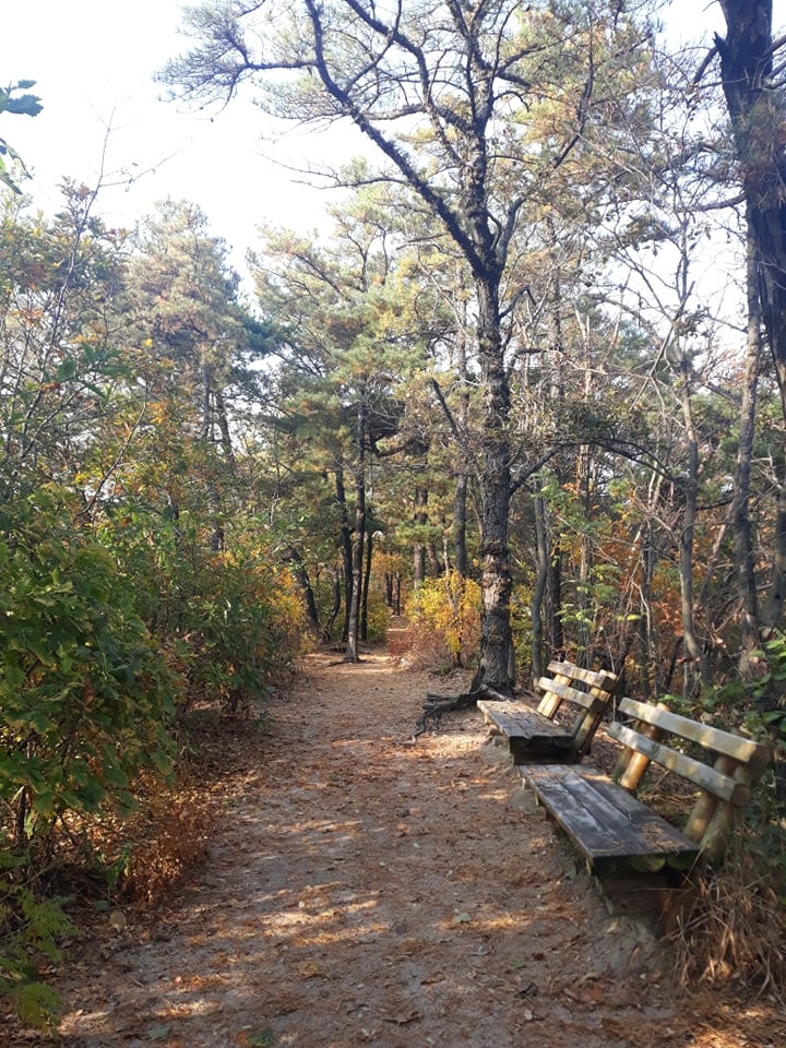 Không phải du xuân lễ hội, năm mới người Hàn Quốc thường leo núi để đón ánh mặt trời đầu tiên! ảnh 11