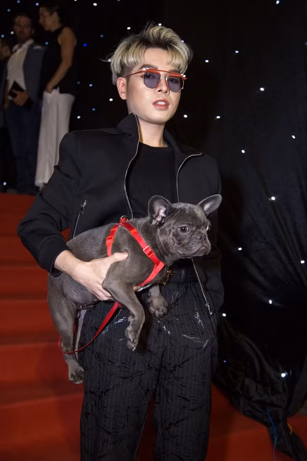 "Tôi là ai, đây là đâu?", có lẽ là tâm trạng chú Bulldog Pháp nhà Hòa Minzy khi được Đức Phúc "mời" đi thảm đỏ.