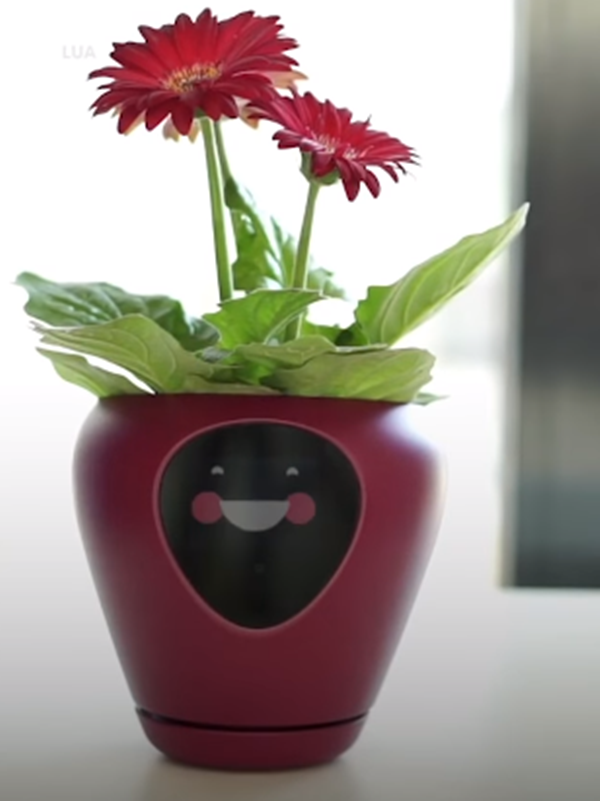 Nụ cười &quot;tỏa nắng&quot;