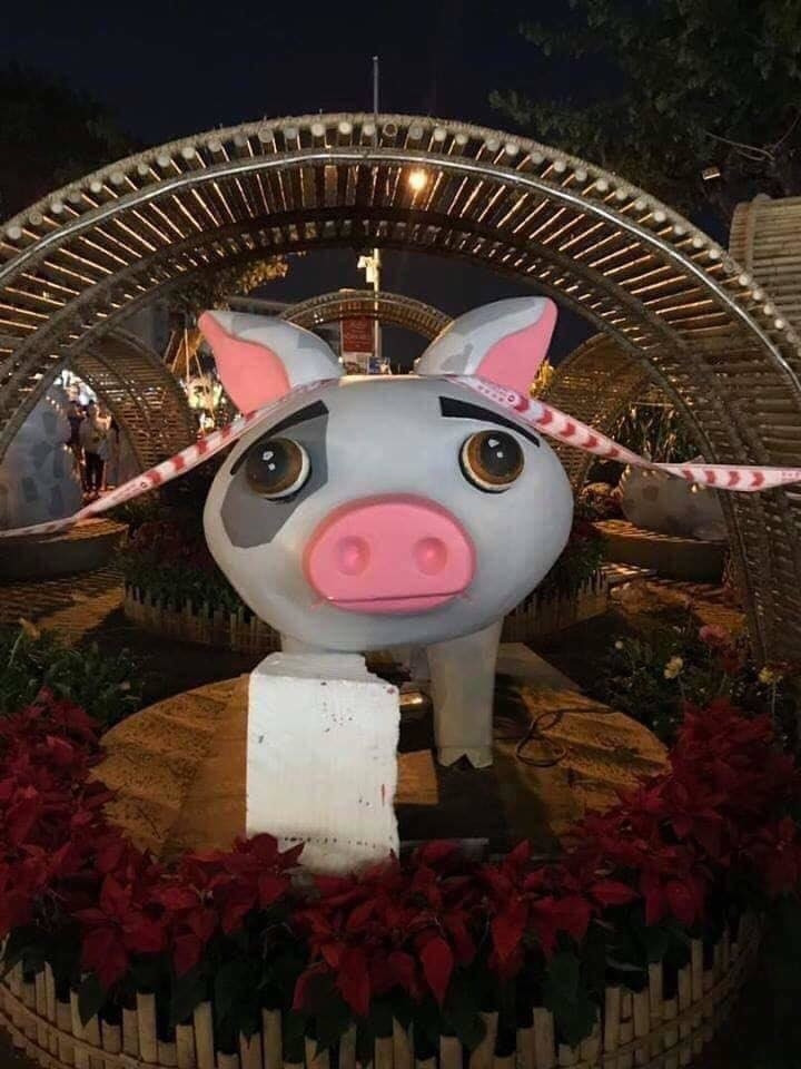 Trông thảm thương gì đâu, chắc chưa ai bỏ ống heo nên đói đây mà.