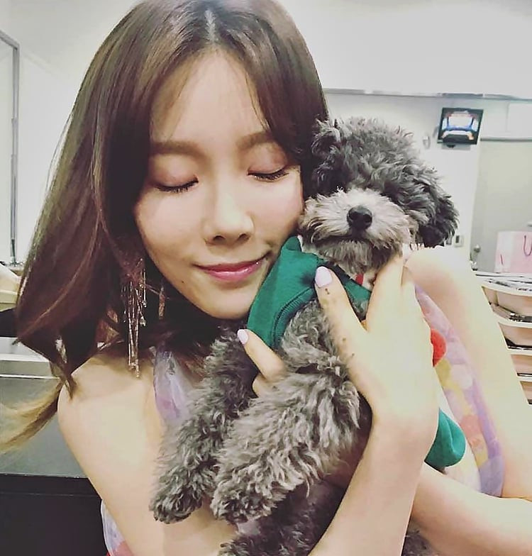 Niềm vui ở nhà của Taeyeon chính là chú chó cưng