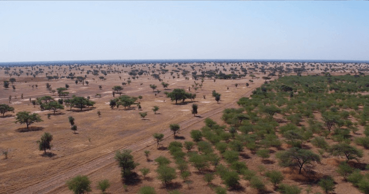 © Great Green Wall / Facebook&nbsp;&nbsp;