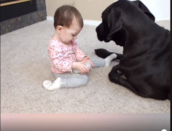 và chơi đồ chơi.