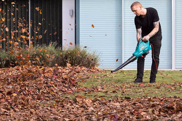 Cách thức nghệ sĩ Wyburn thực hiện tác phẩm.