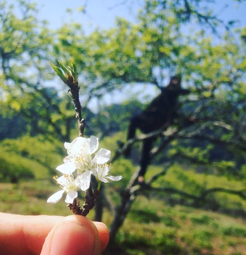 (Ảnh: IG @thanhhoa1203)