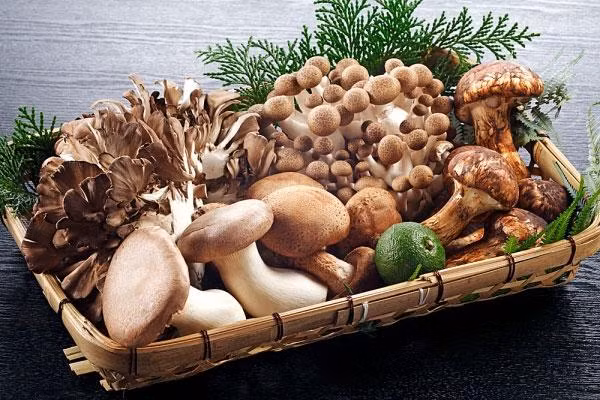 Những cách "ngon nhất" để giữ bo-đì hoàn hảo ảnh 1