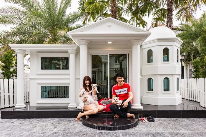 Ngôi "biệt thự của chó" tựa một cung điện theo phong cách sang trọng.